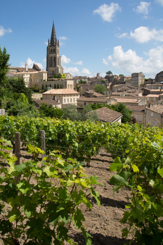 Visite privée de Saint-Emilion, Guide Saint-Emilion