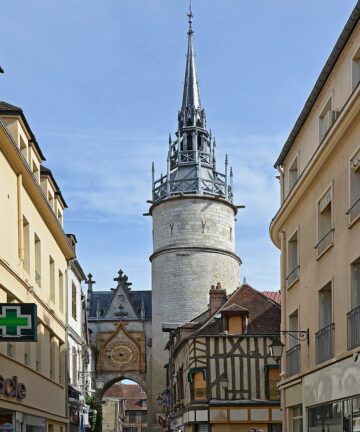 Visite de Auxerre avec un guide privé (1 à 10h)