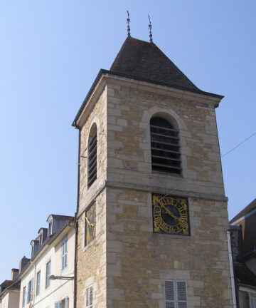 Visite de Lons-le-Saunier avec un guide privé (1 à 10h)