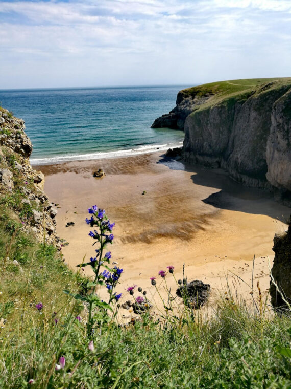 Visite de Saint-Brieuc avec un guide privé (1 à 10h)