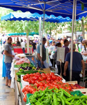 Visiter Toulon avec un guide privé