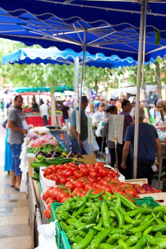 Visiter Toulon avec un guide privé