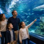 Aquarium de la Rochelle