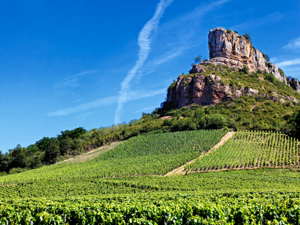 Les vignobles du Bordelais