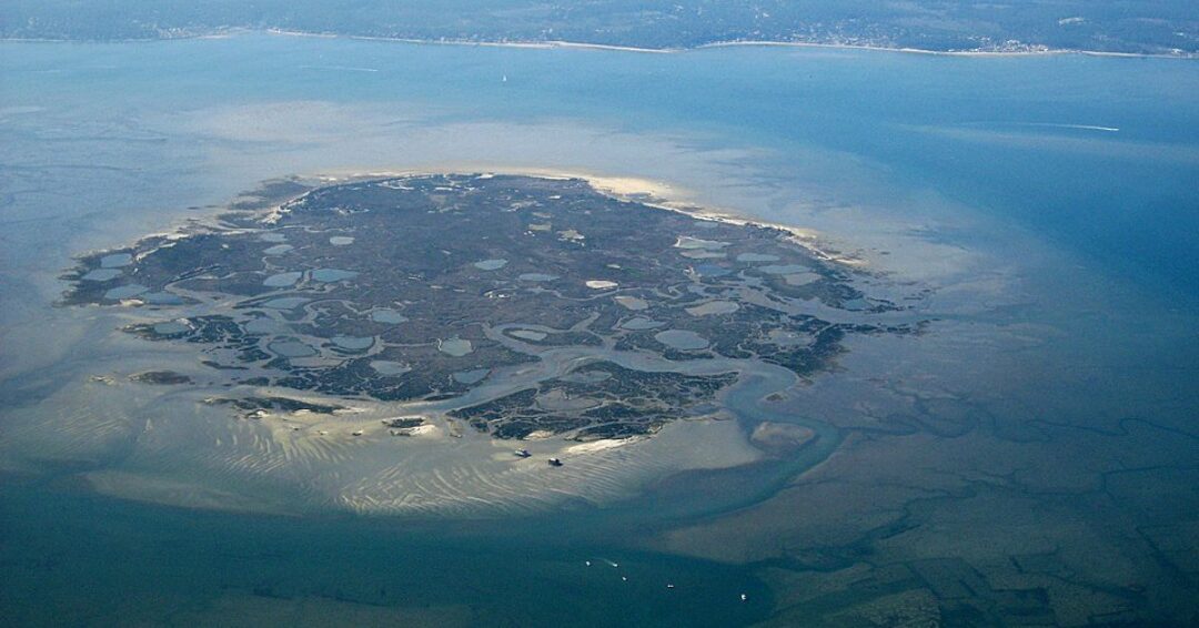 Vue Aérienne Ile aux Oiseaux